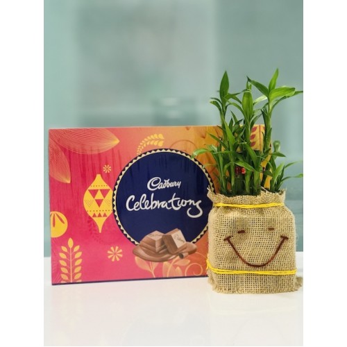 Celebration Bamboo